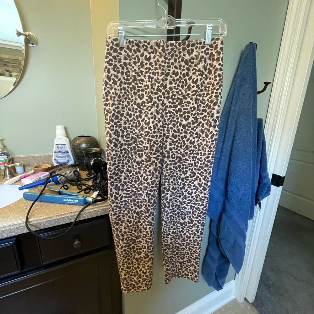 Ann Taylor Jaguar Printed Trousers